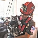 Animal-Svc_SMART-member-Kyra-Chisem-rescued-cat-from-palm-tree_WEB
