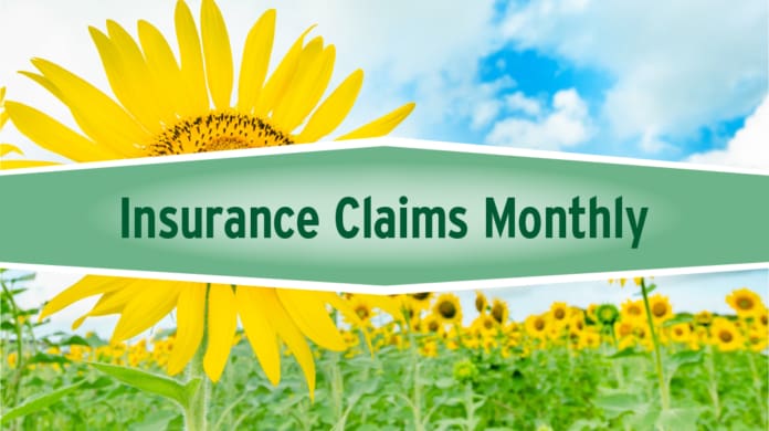 Column_Claims_Monthly_Header_WEB
