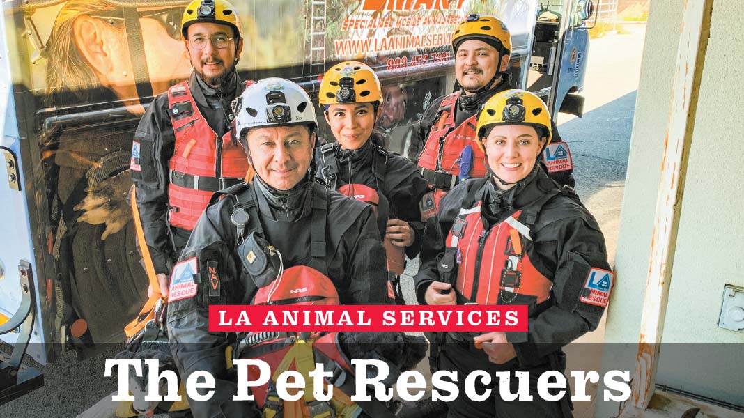 Rescuing pets is a serious, demanding job. SMART is up to the task. |  Alive! News