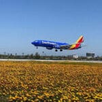 Airports_LAX-Flowers_IMG_2675