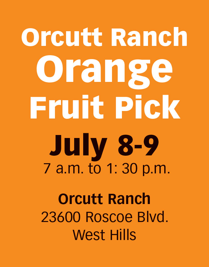 Orcutt Ranch continues its orangepicking events for the public
